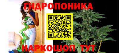 винт Славгород