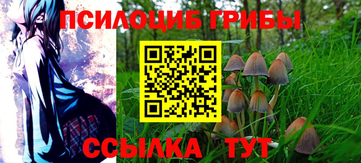 Галлюциногенные грибы ЛСД Новочебоксарск