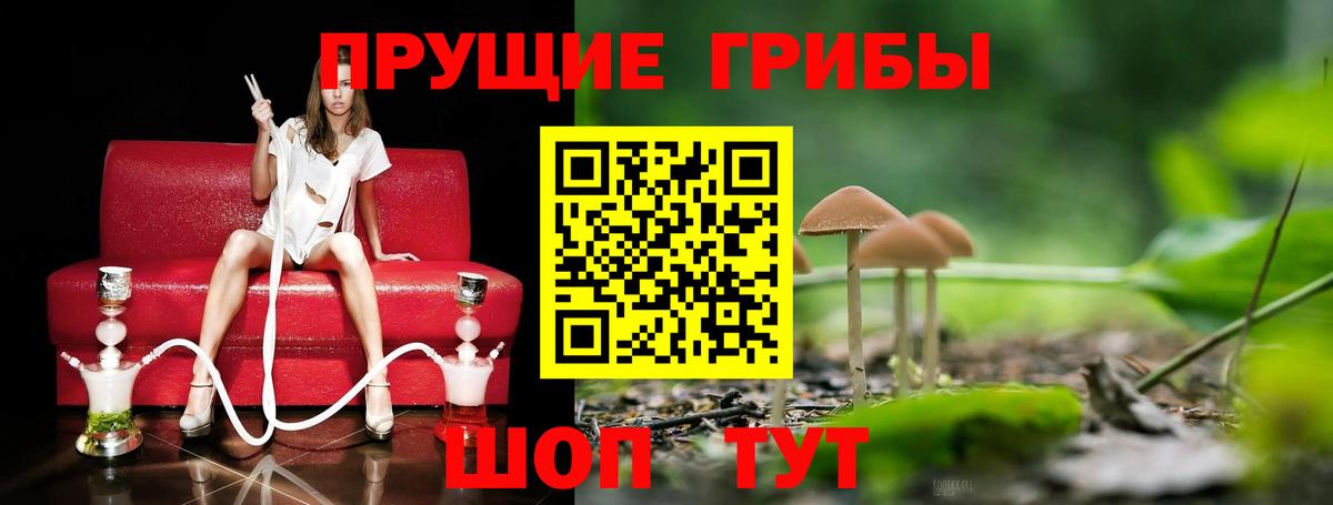 Псилоцибиновые грибы мухоморы  Вход с VPN  Новочебоксарск 